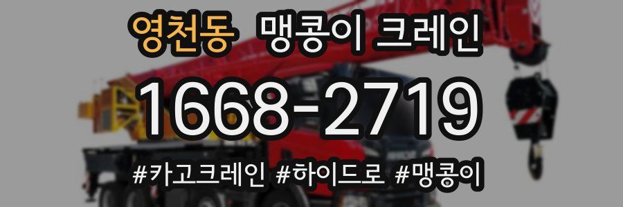 영천동 맹콩이 크레인