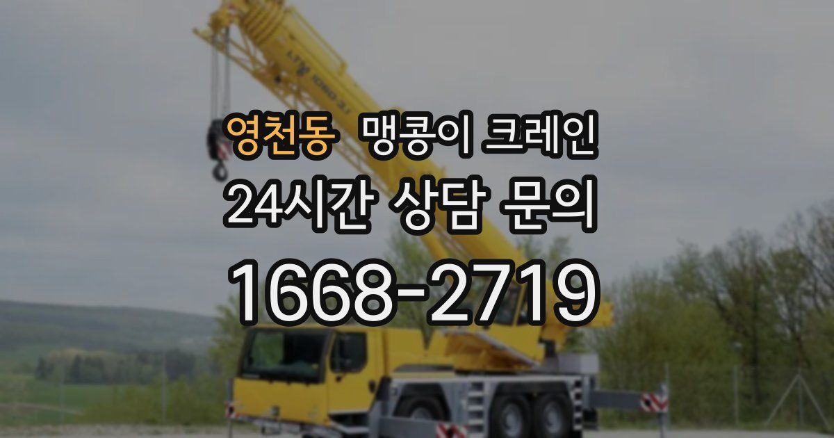 영천동 맹콩이 크레인