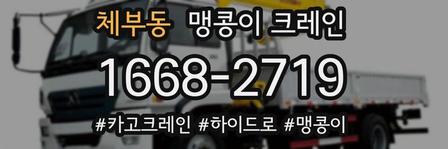 체부동 맹콩이 크레인