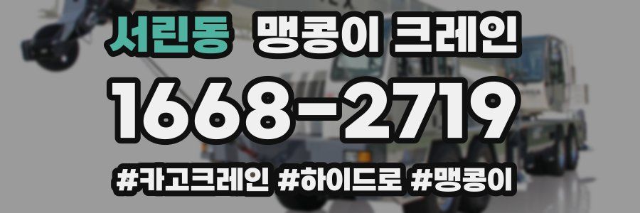 서린동 맹콩이 크레인