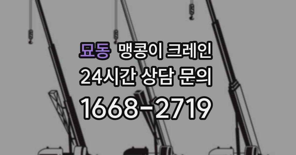 묘동 맹콩이 크레인