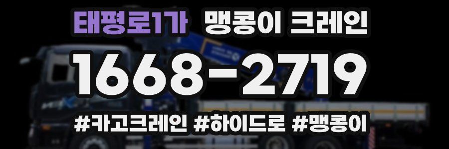 태평로1가 맹콩이 크레인