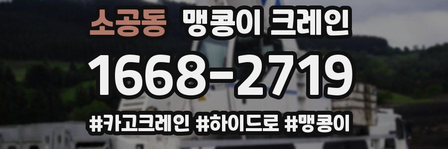 소공동 맹콩이 크레인