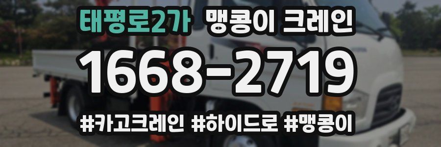 태평로2가 맹콩이 크레인