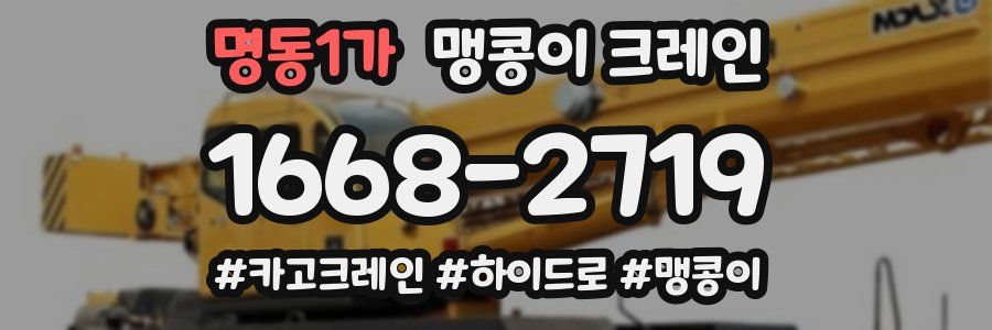 명동1가 맹콩이 크레인