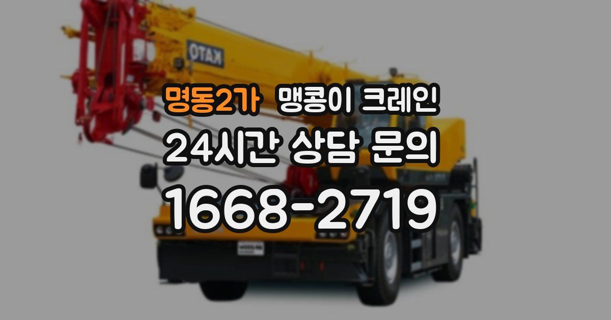 명동2가 맹콩이 크레인
