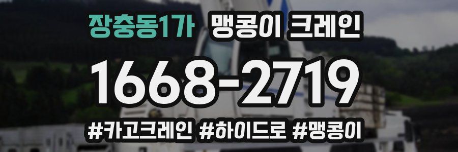 장충동1가 맹콩이 크레인