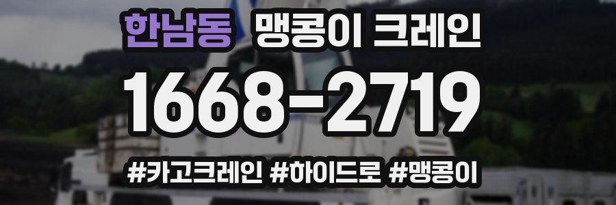 한남동 맹콩이 크레인