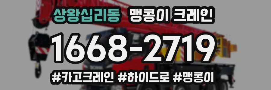 상왕십리동 맹콩이 크레인