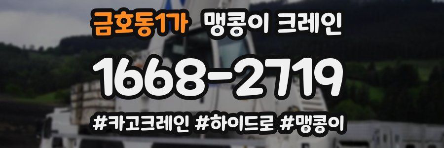 금호동1가 맹콩이 크레인