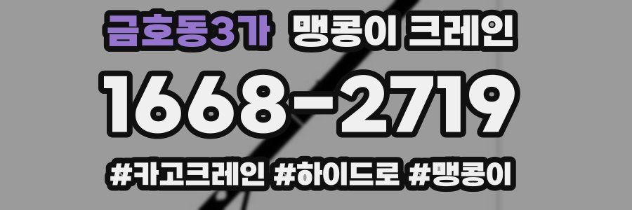 금호동3가 맹콩이 크레인