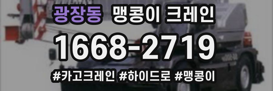 광장동 맹콩이 크레인