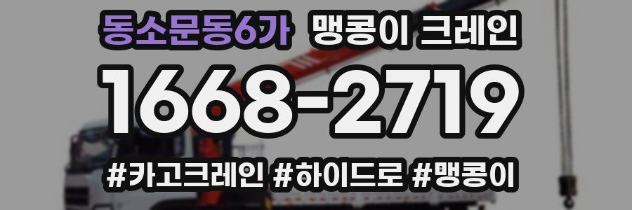 동소문동6가 맹콩이 크레인