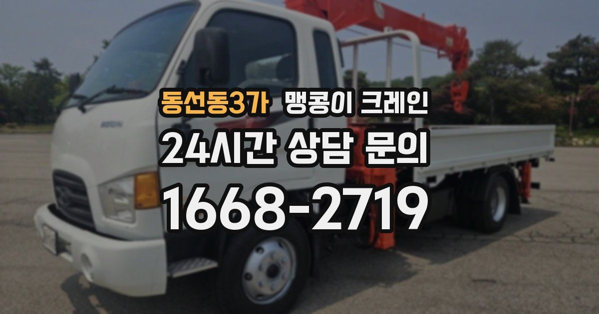 동선동3가 맹콩이 크레인
