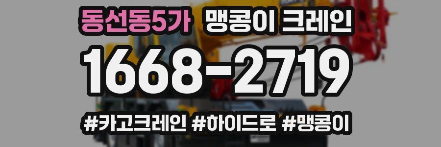 동선동5가 맹콩이 크레인