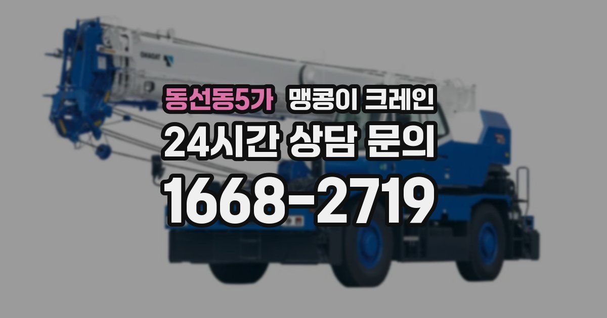 동선동5가 맹콩이 크레인