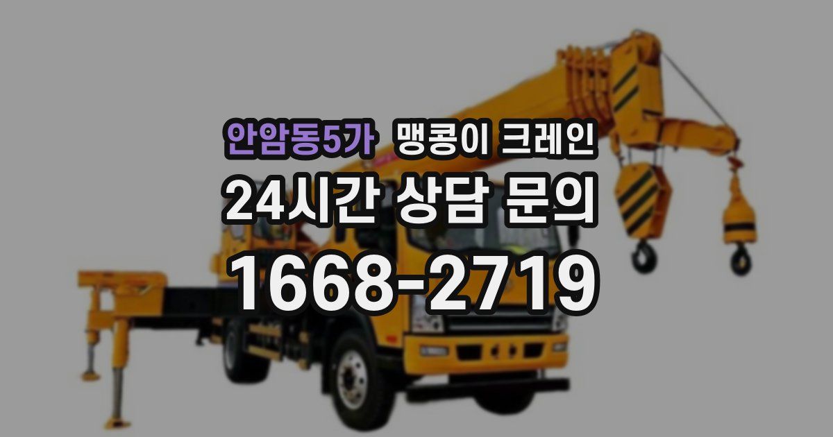 안암동5가 맹콩이 크레인