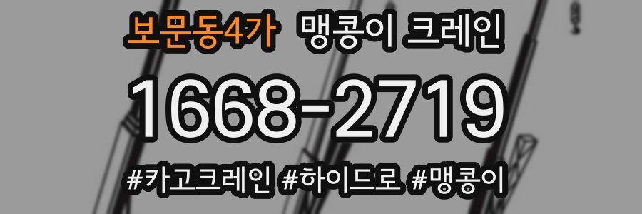 보문동4가 맹콩이 크레인