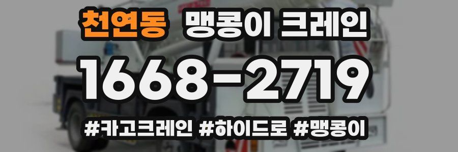 천연동 맹콩이 크레인