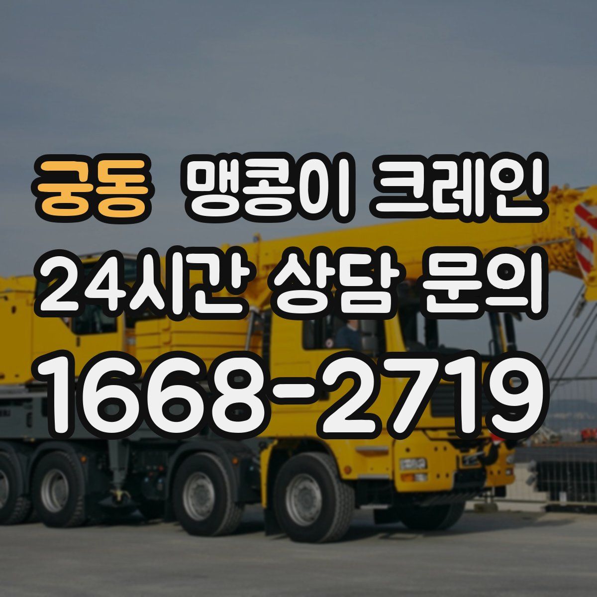 궁동 맹콩이 크레인