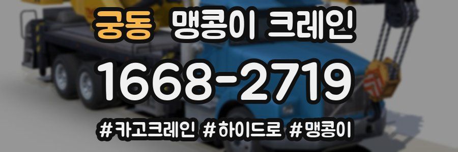 궁동 맹콩이 크레인