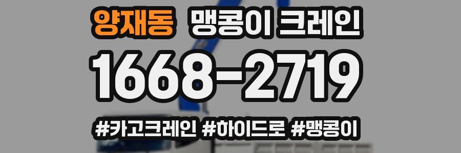 양재동 맹콩이 크레인