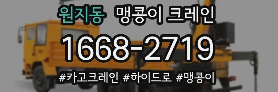 원지동 맹콩이 크레인