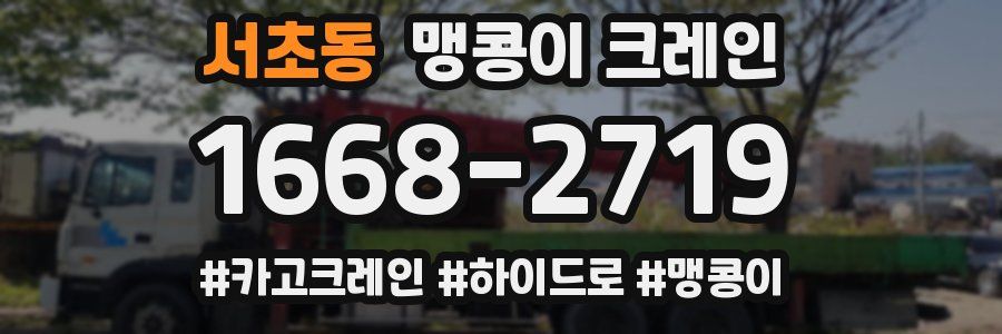 서초동 맹콩이 크레인