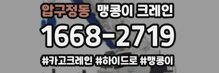 압구정동 맹콩이 크레인