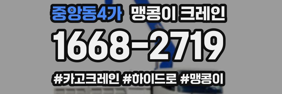 중앙동4가 맹콩이 크레인