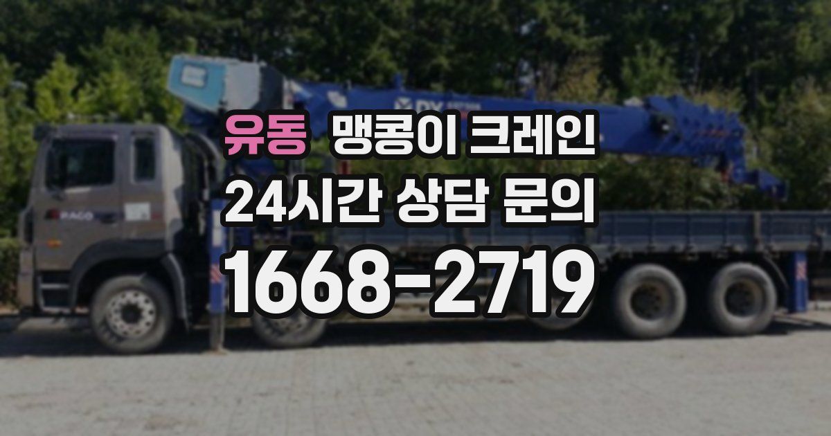 유동 맹콩이 크레인