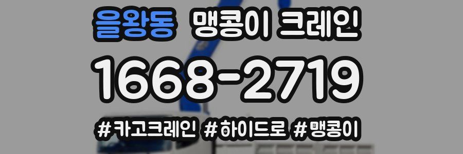 을왕동 맹콩이 크레인