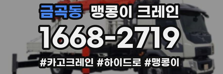 금곡동 맹콩이 크레인
