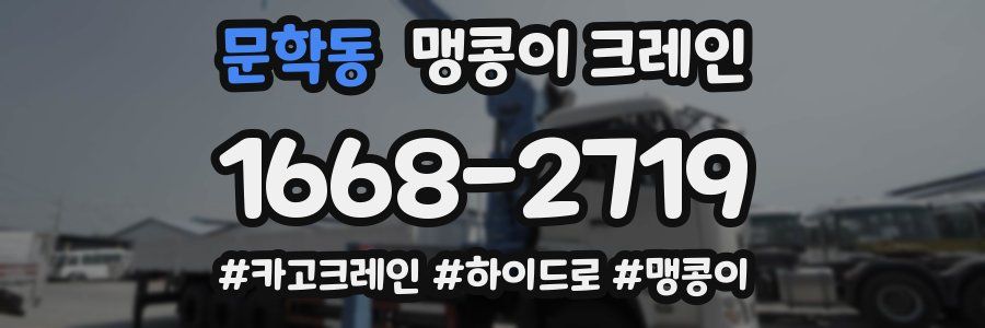 문학동 맹콩이 크레인