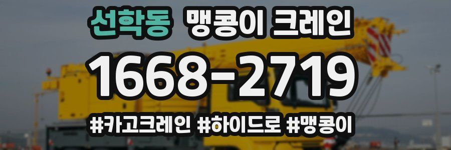 선학동 맹콩이 크레인