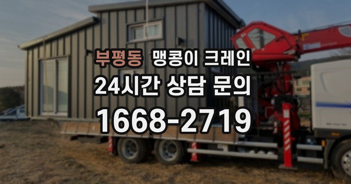 부평동 맹콩이 크레인