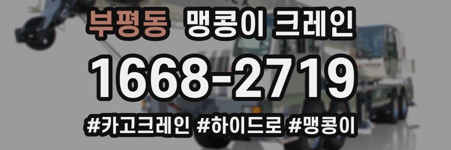 부평동 맹콩이 크레인