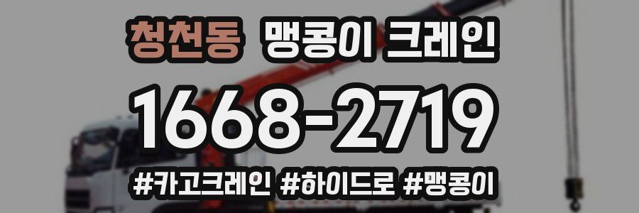 청천동 맹콩이 크레인