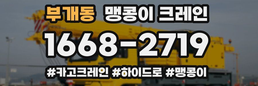 부개동 맹콩이 크레인