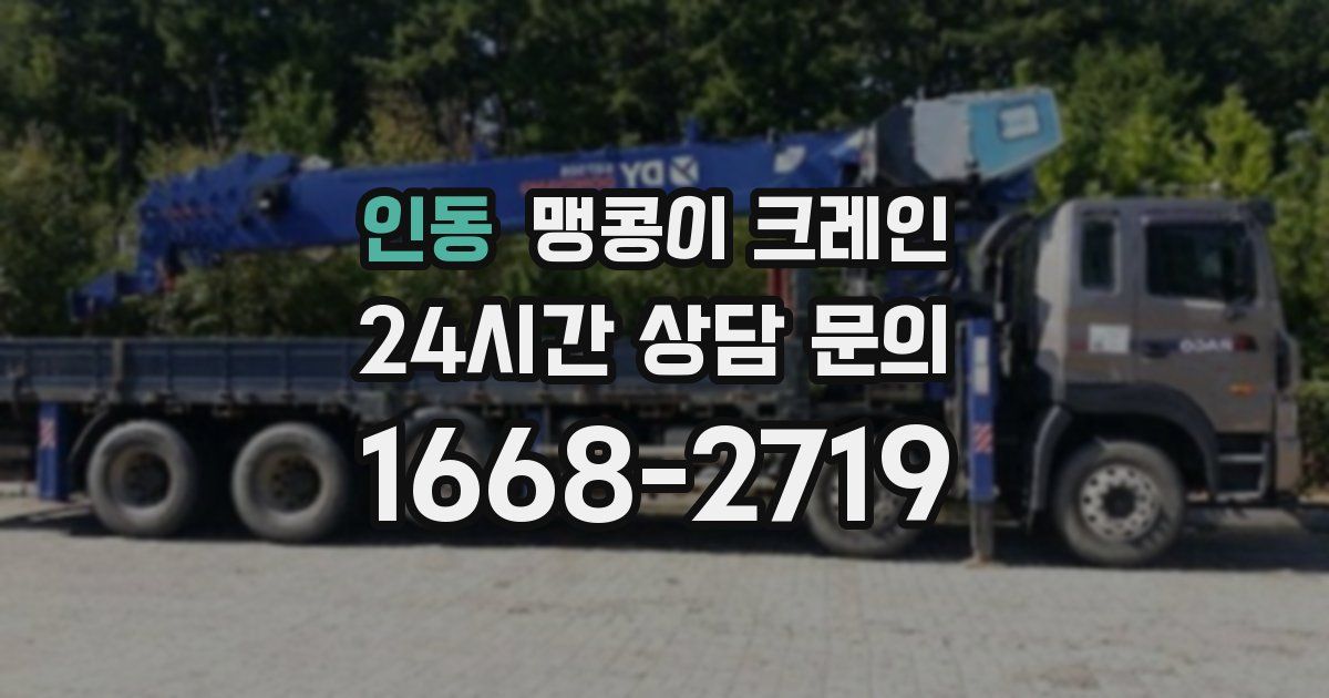 인동 맹콩이 크레인