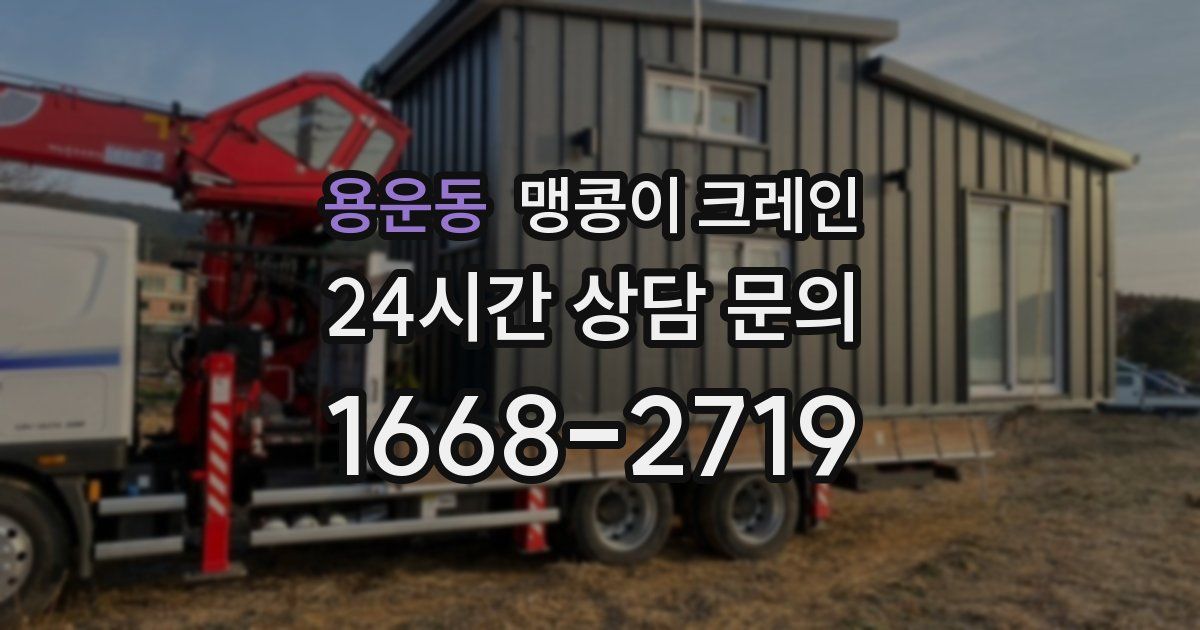 용운동 맹콩이 크레인