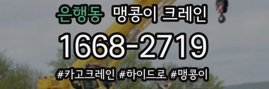 은행동 맹콩이 크레인