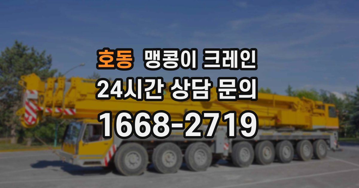 호동 맹콩이 크레인