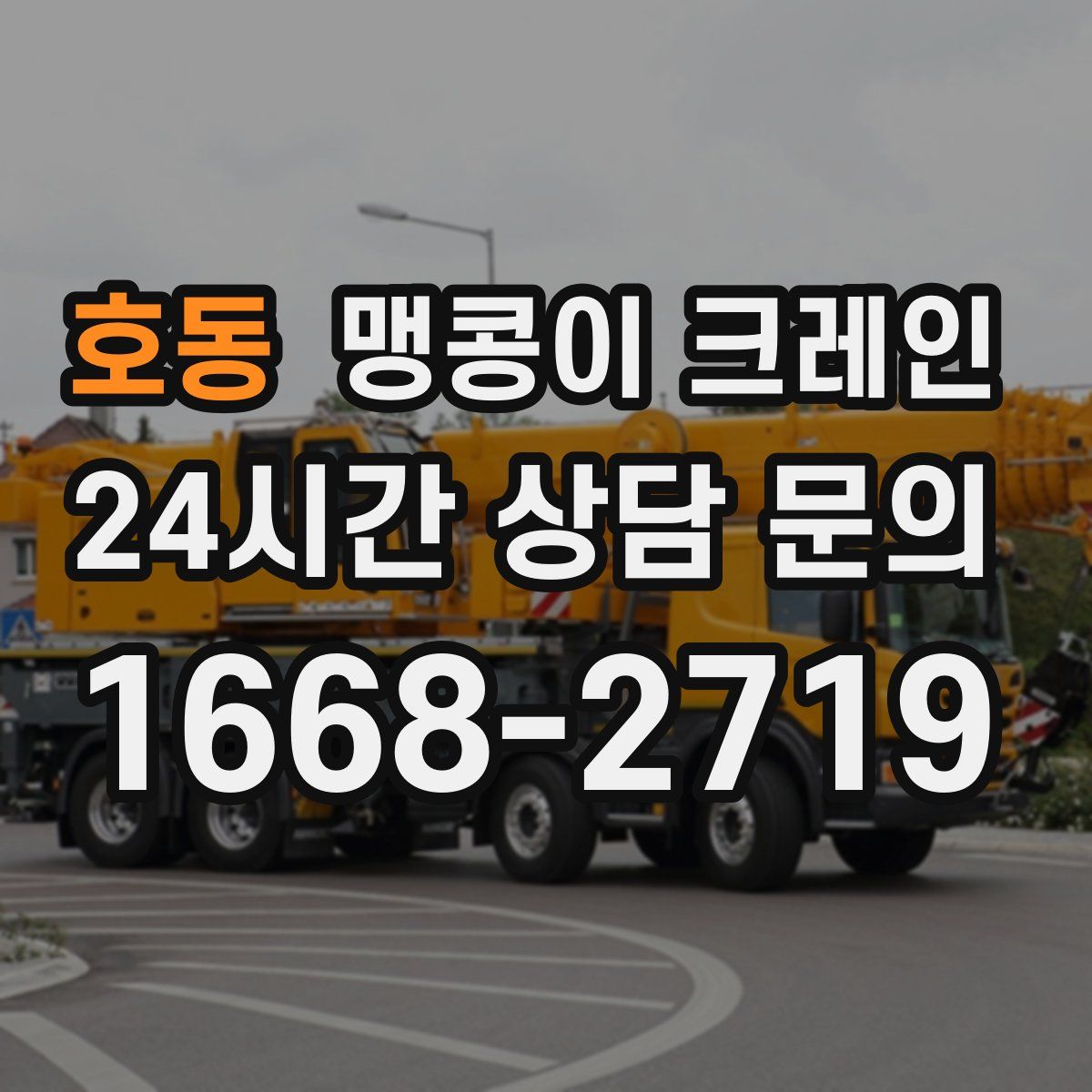 호동 맹콩이 크레인
