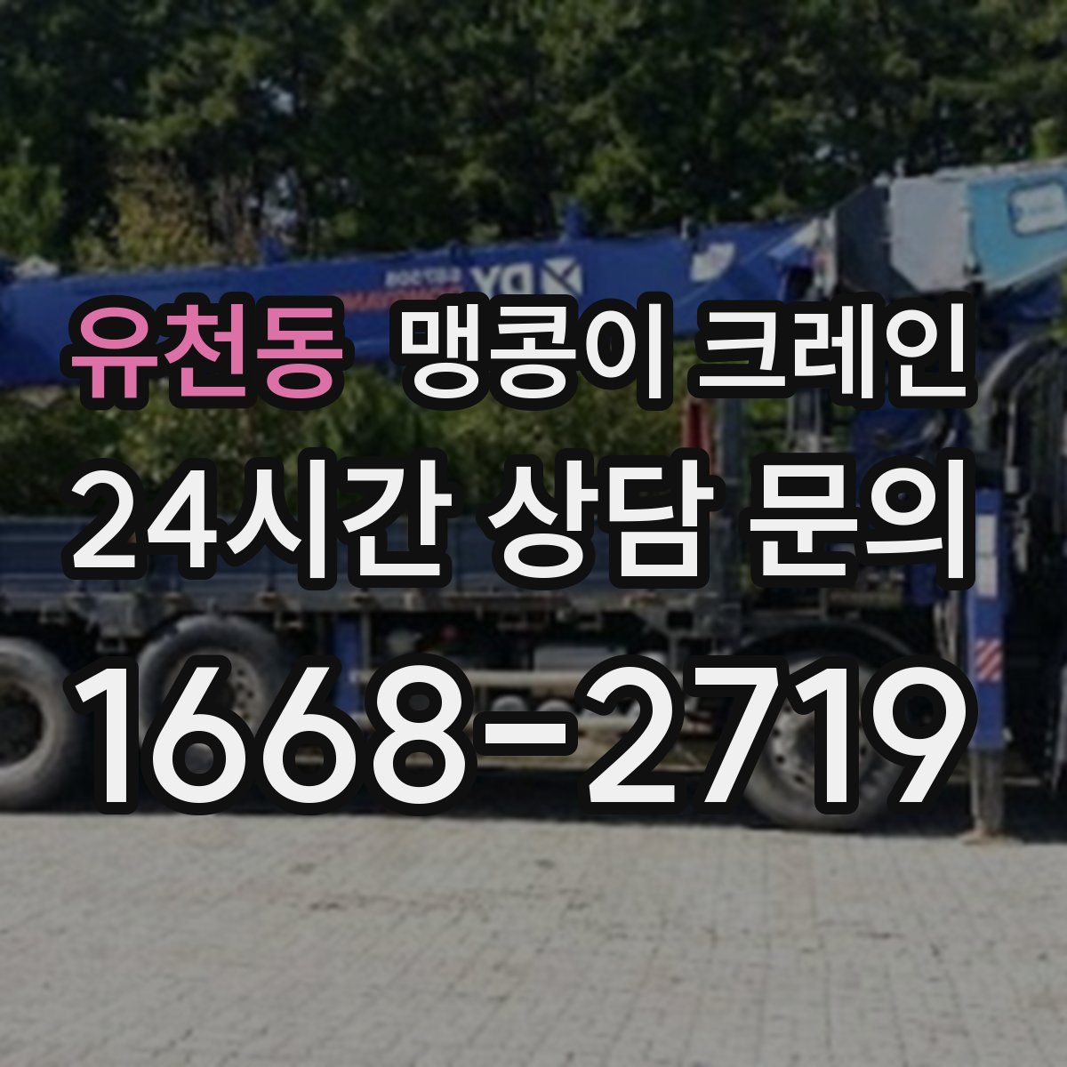 유천동 맹콩이 크레인