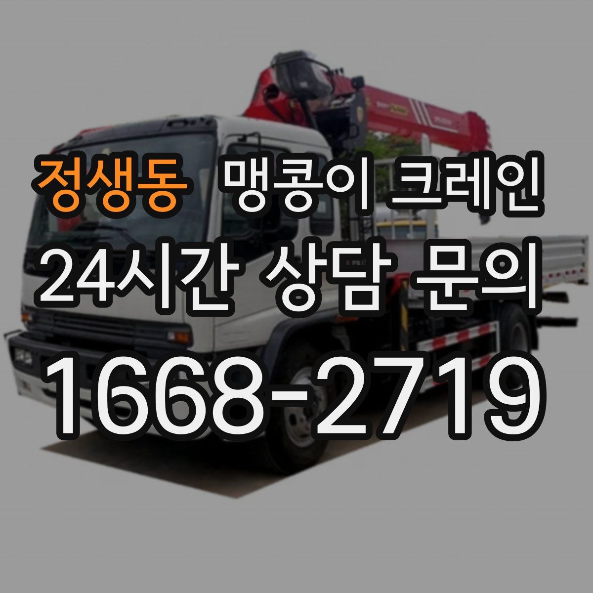 정생동 맹콩이 크레인