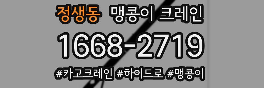 정생동 맹콩이 크레인