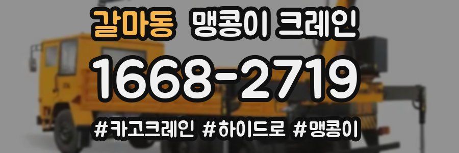 갈마동 맹콩이 크레인