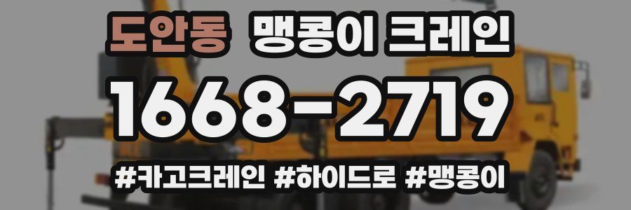 도안동 맹콩이 크레인