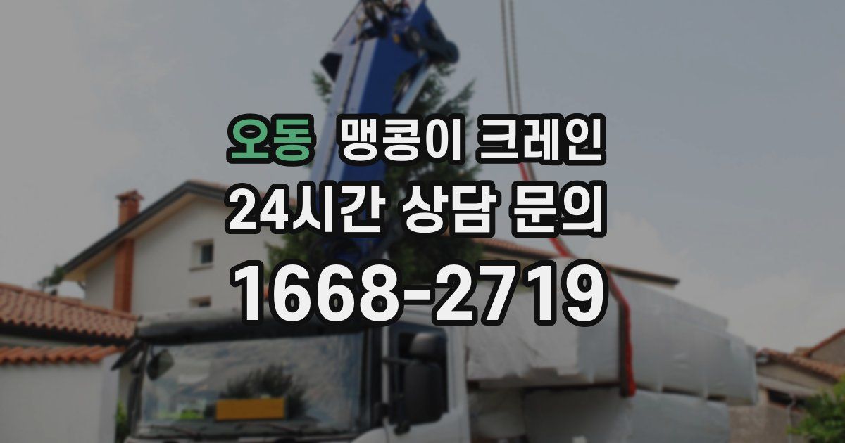 오동 맹콩이 크레인
